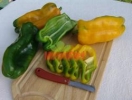 paprika_patricie