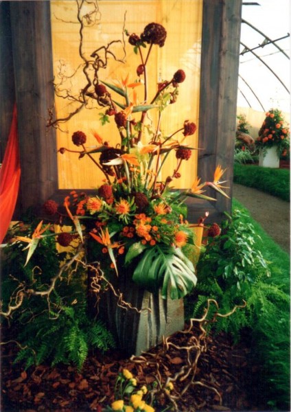 Expozice řezaných květů jaro, léto, podzim, zima, 2000
